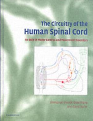 Circuitry of the Human Spinal Cord