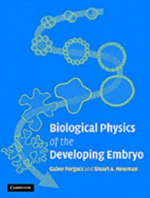 Biological Physics of the Developing Embryo