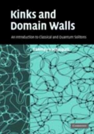 Kinks and Domain Walls