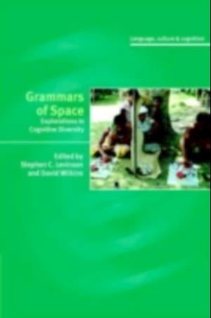 Grammars of Space