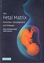 Fetal Matrix: Evolution, Development and Disease