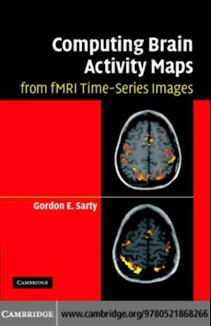 Computing Brain Activity Maps from fMRI Time-Series Images