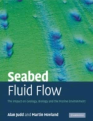 Seabed Fluid Flow