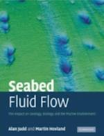 Seabed Fluid Flow