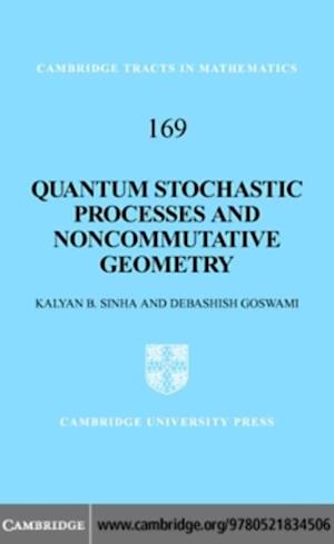 Quantum Stochastic Processes and Noncommutative Geometry