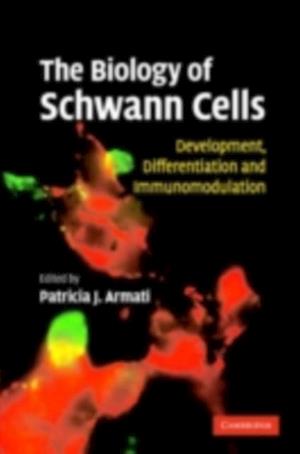 Biology of Schwann Cells