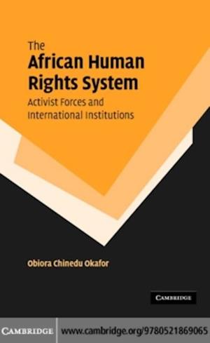 African Human Rights System, Activist Forces and International Institutions