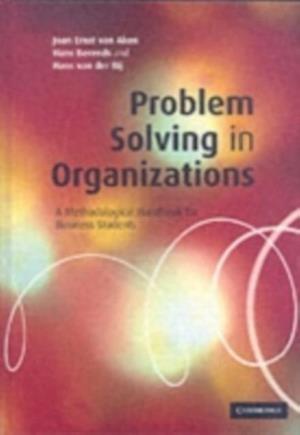 problem solving in organizations pdf