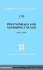 Polynomials and Vanishing Cycles