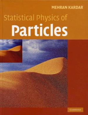 Statistical Physics of Particles