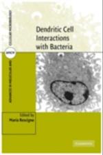 Dendritic Cell Interactions with Bacteria