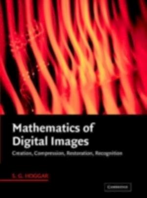 Mathematics of Digital Images