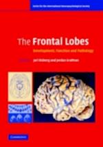 Frontal Lobes