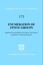 Enumeration of Finite Groups
