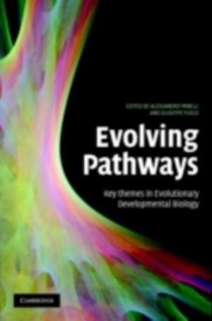 Evolving Pathways