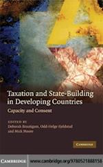 Taxation and State-Building in Developing Countries