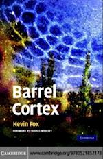 Barrel Cortex