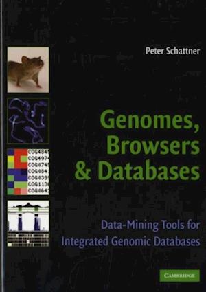 Genomes, Browsers and Databases