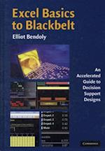 Excel Basics to Blackbelt