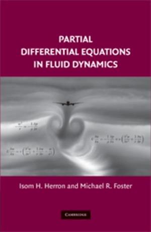 Partial Differential Equations in Fluid Dynamics