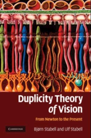 Duplicity Theory of Vision