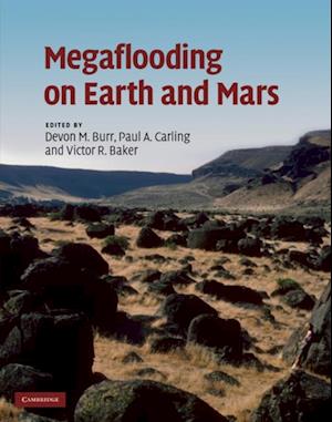 Megaflooding on Earth and Mars