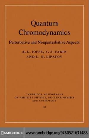 Quantum Chromodynamics