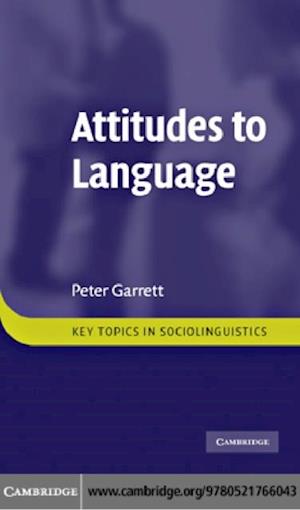 Attitudes to Language