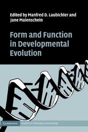 Form and Function in Developmental Evolution