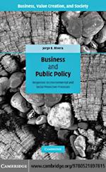 Business and Public Policy