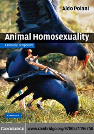 Animal Homosexuality