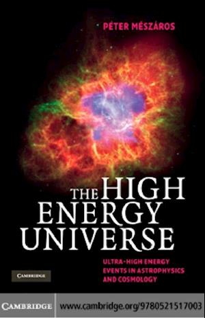 High Energy Universe