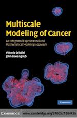 Multiscale Modeling of Cancer