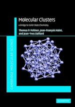 Molecular Clusters