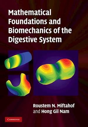 Mathematical Foundations and Biomechanics of the Digestive System