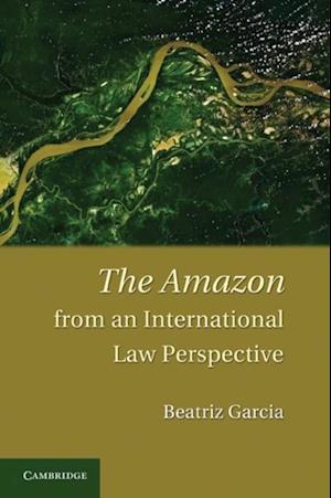 Amazon from an International Law Perspective