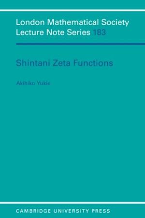 Shintani Zeta Functions