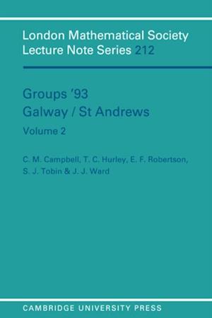 Groups '93 Galway/St Andrews: Volume 2