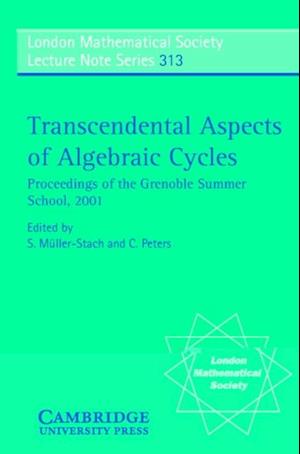 Transcendental Aspects of Algebraic Cycles