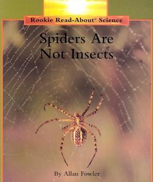 Spiders Are Not Insects