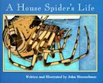 A House Spider's Life