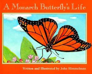 A Monarch Butterfly's Life