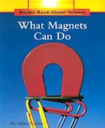 What Magnets Can Do