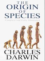 Origin Of Species