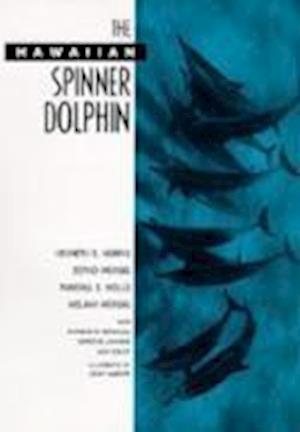 The Hawaiian Spinner Dolphin