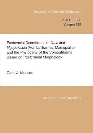 Postcranial Descriptions of  Ilaria and  Ngapakaldia (Vombatiformes, Marsupialia) and the Phylogeny of the Vombatiforms Based on Postcranial Morphology