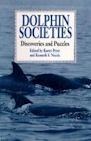 Dolphin Societies