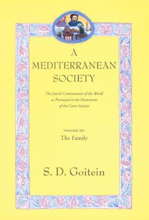 A Mediterranean Society, Volume III