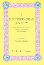 A Mediterranean Society, Volume VI