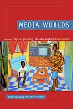 Media Worlds